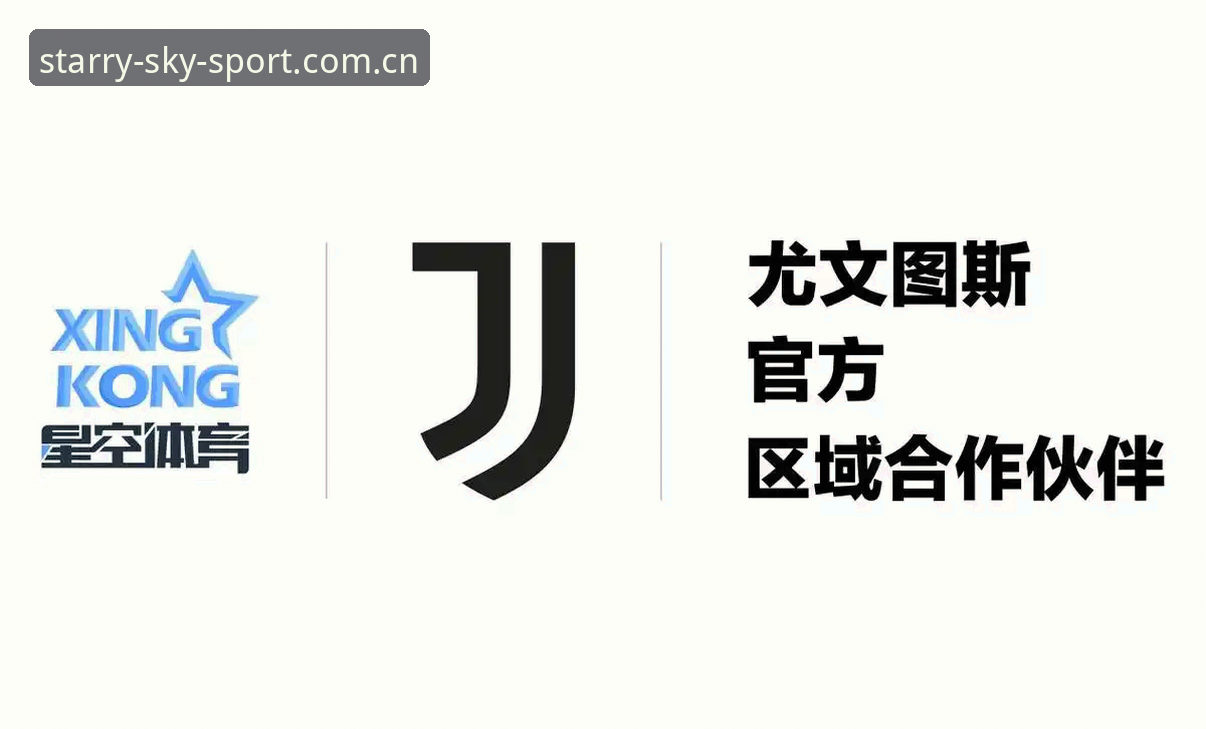 星空体育APP vs 官方网页版：哪个才是你的最佳选择？使用技巧与可靠性全解析